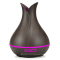 Humidifier Air Purifier LED Night Light Aroma Diffuser